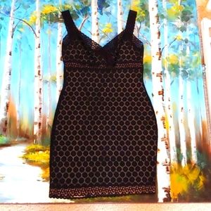 Y2K NWOT USA Made Laundry Lace Dress